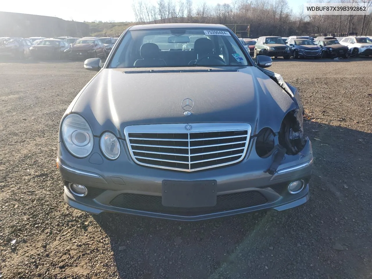 2009 Mercedes-Benz E 350 4Matic VIN: WDBUF87X39B392862 Lot: 75390484