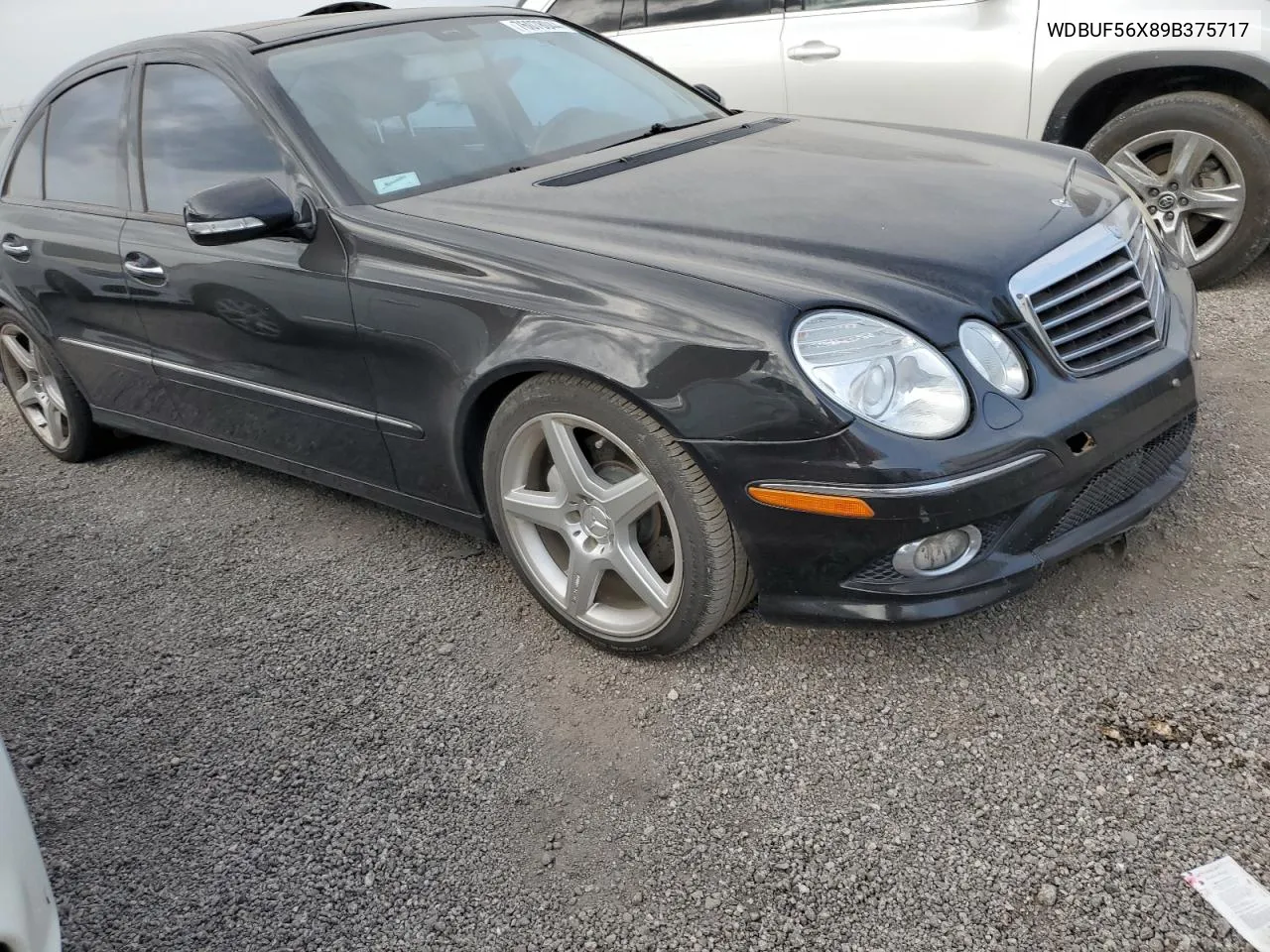 2009 Mercedes-Benz E 350 VIN: WDBUF56X89B375717 Lot: 76078044