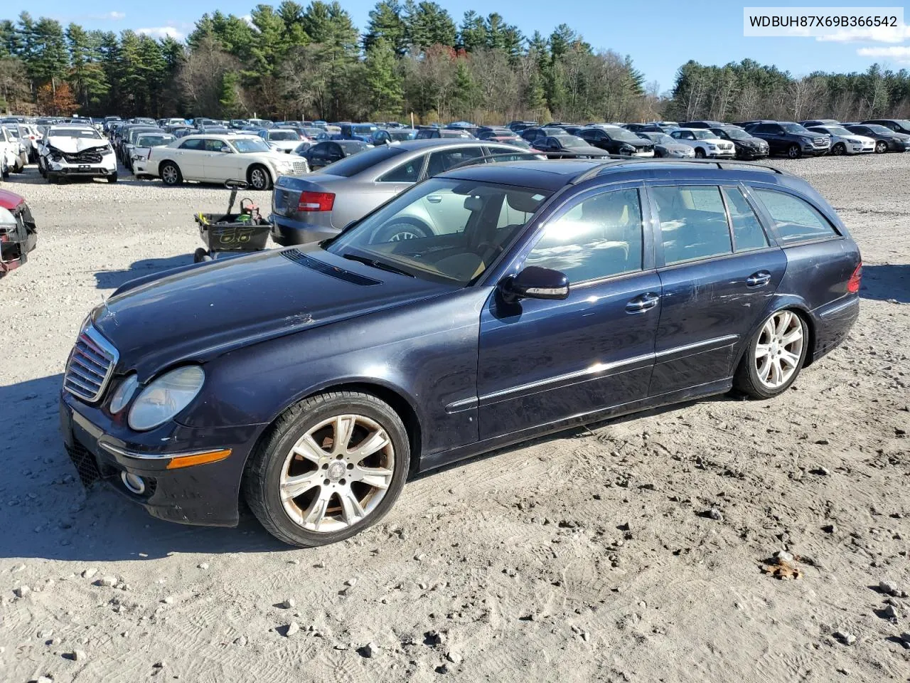 2009 Mercedes-Benz E 350 4Matic VIN: WDBUH87X69B366542 Lot: 79476834