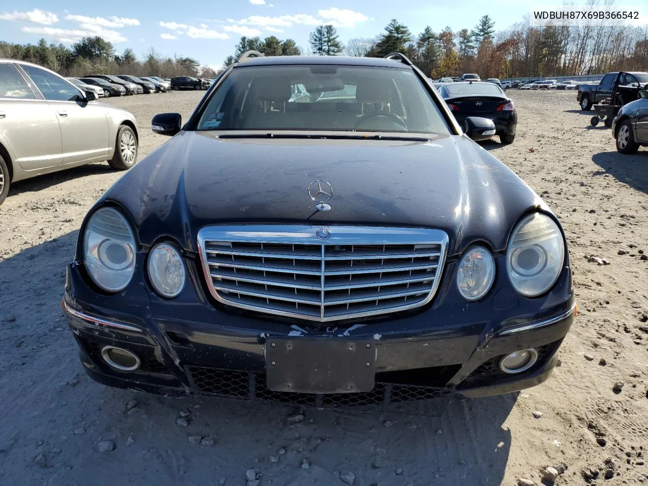 2009 Mercedes-Benz E 350 4Matic VIN: WDBUH87X69B366542 Lot: 79476834