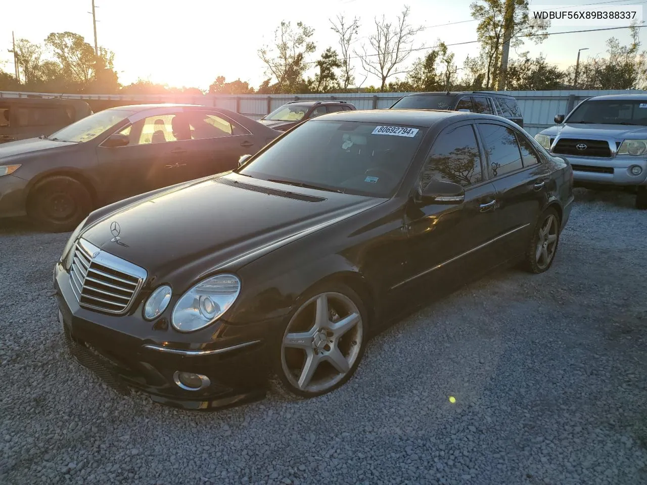 2009 Mercedes-Benz E 350 VIN: WDBUF56X89B388337 Lot: 80692794