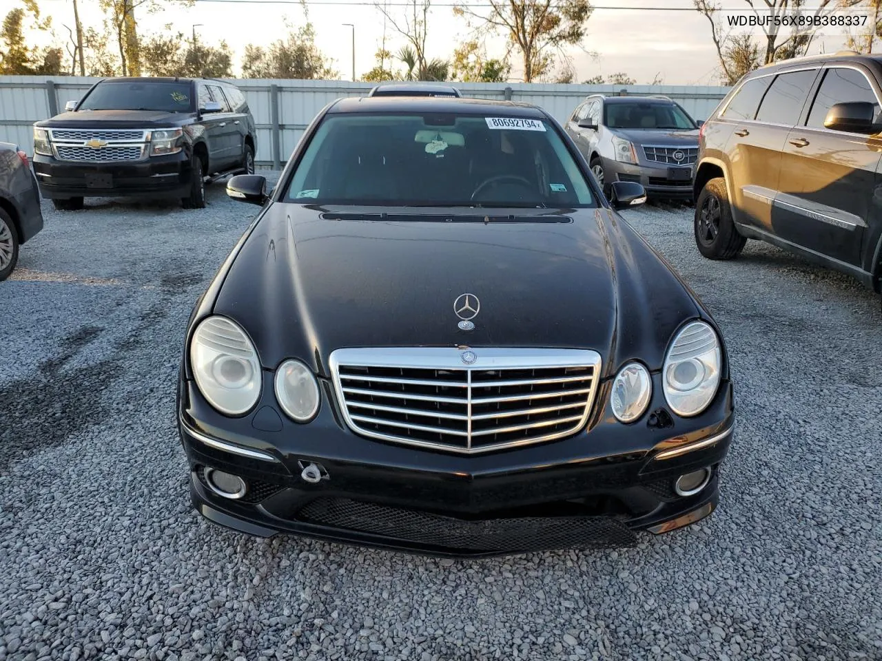 2009 Mercedes-Benz E 350 VIN: WDBUF56X89B388337 Lot: 80692794