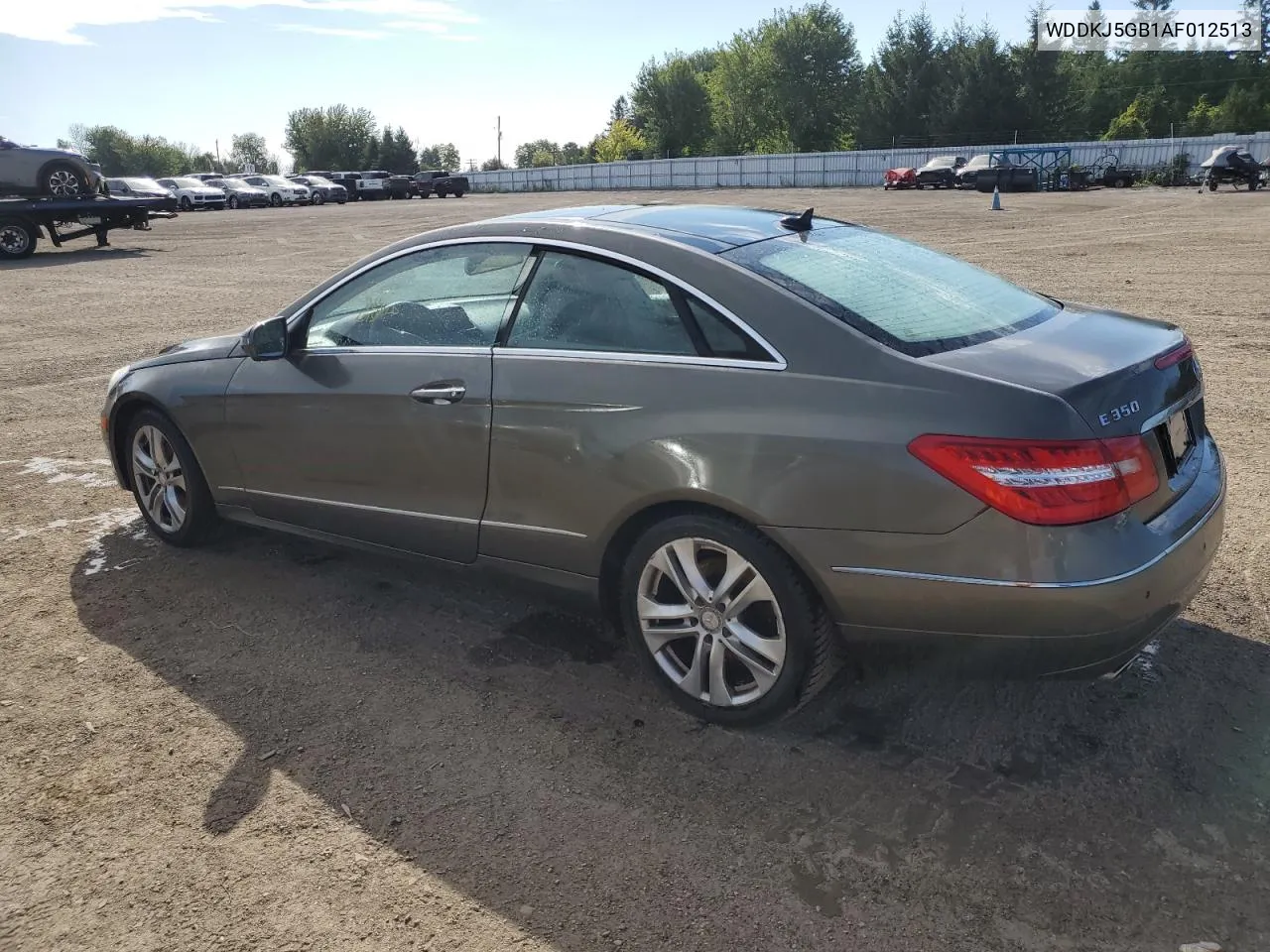 2010 Mercedes-Benz E 350 VIN: WDDKJ5GB1AF012513 Lot: 68230224