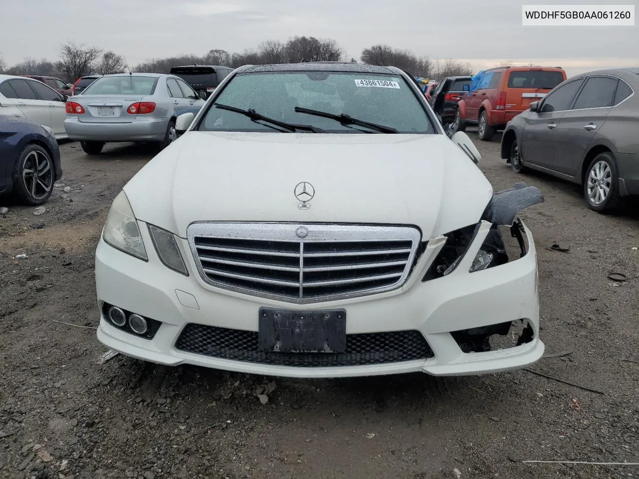 2010 Mercedes-Benz E 350 VIN: WDDHF5GB0AA061260 Lot: 70707384