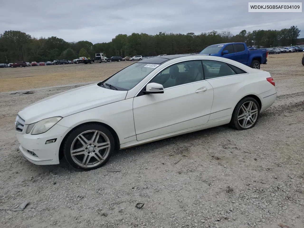 2010 Mercedes-Benz E 350 VIN: WDDKJ5GB5AF034109 Lot: 80130334