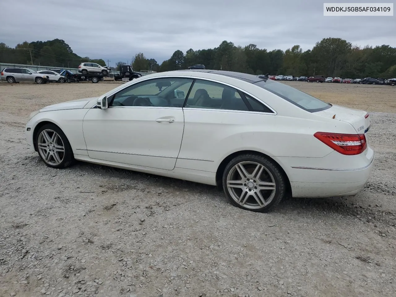 2010 Mercedes-Benz E 350 VIN: WDDKJ5GB5AF034109 Lot: 80130334