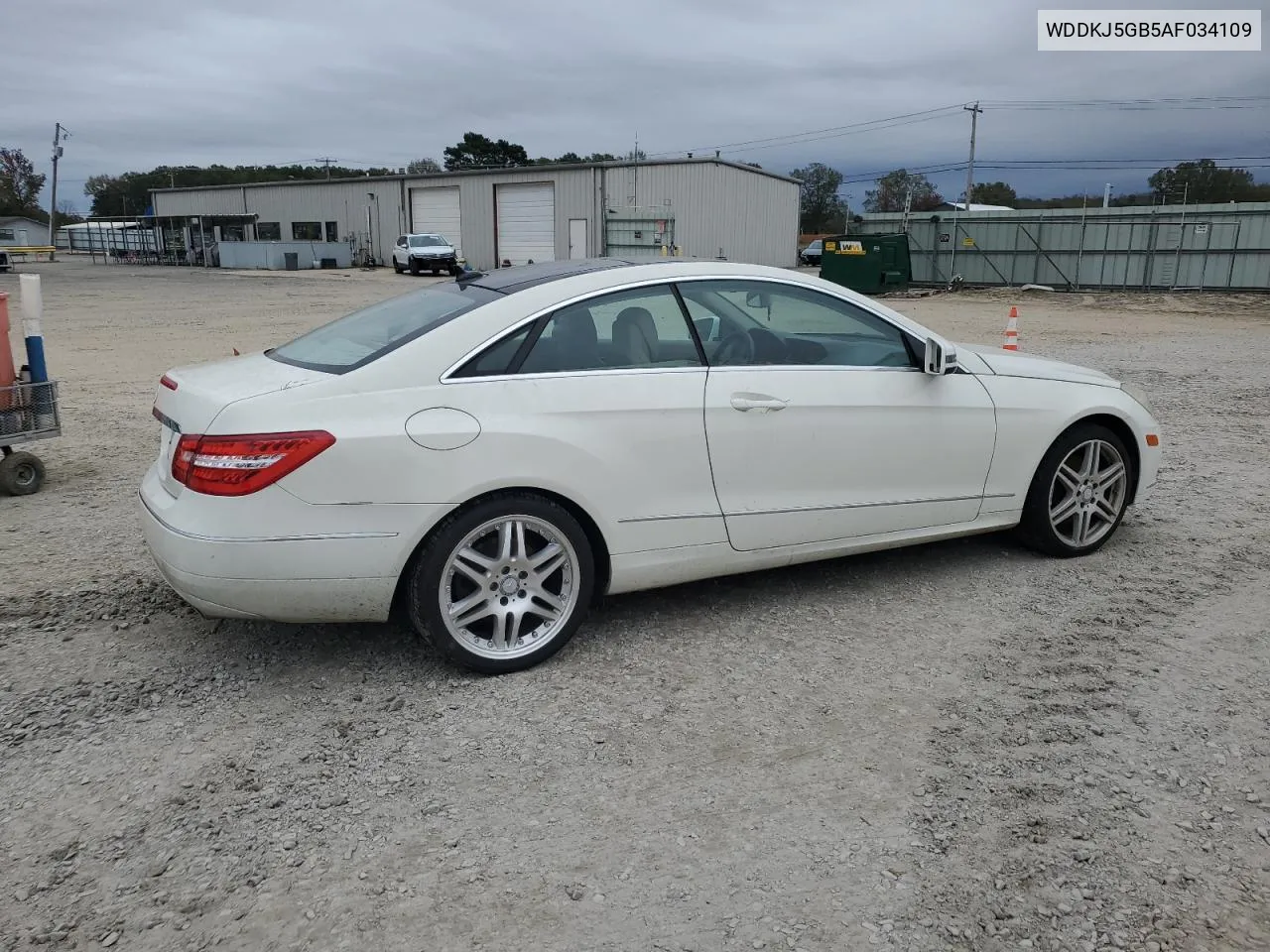 2010 Mercedes-Benz E 350 VIN: WDDKJ5GB5AF034109 Lot: 80130334