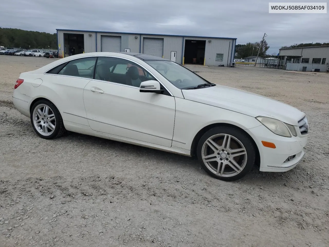 2010 Mercedes-Benz E 350 VIN: WDDKJ5GB5AF034109 Lot: 80130334