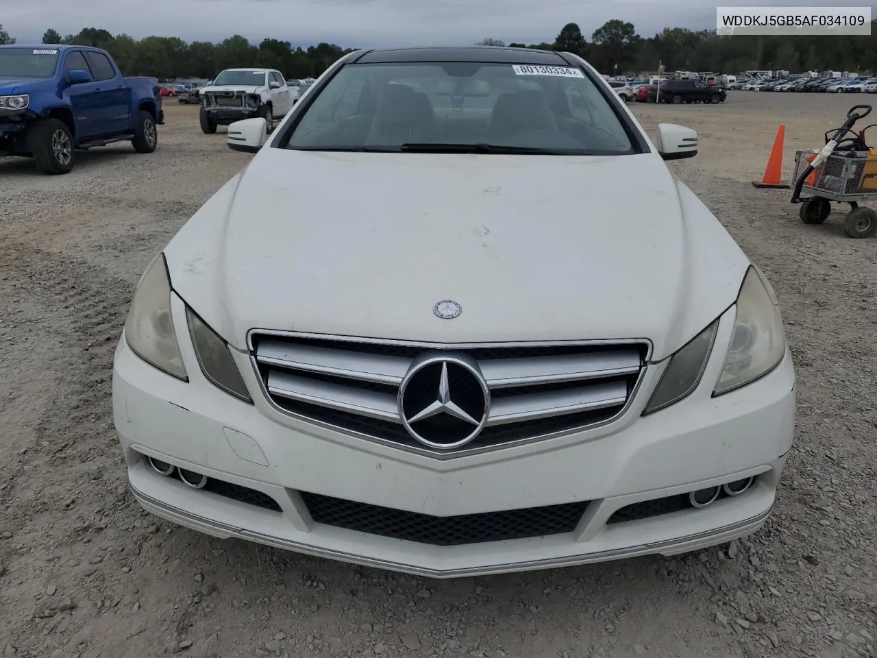 2010 Mercedes-Benz E 350 VIN: WDDKJ5GB5AF034109 Lot: 80130334