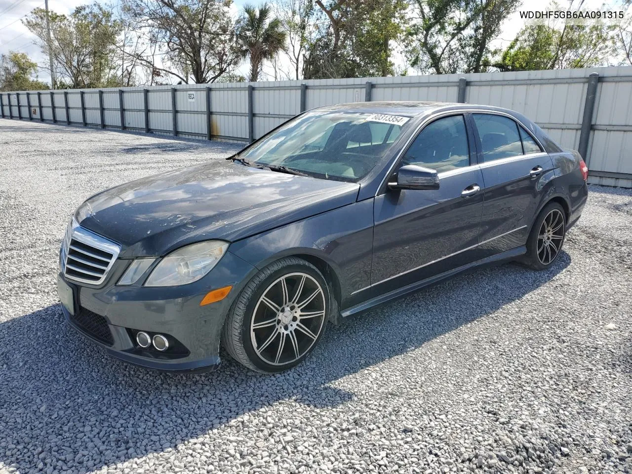 2010 Mercedes-Benz E 350 VIN: WDDHF5GB6AA091315 Lot: 80313354