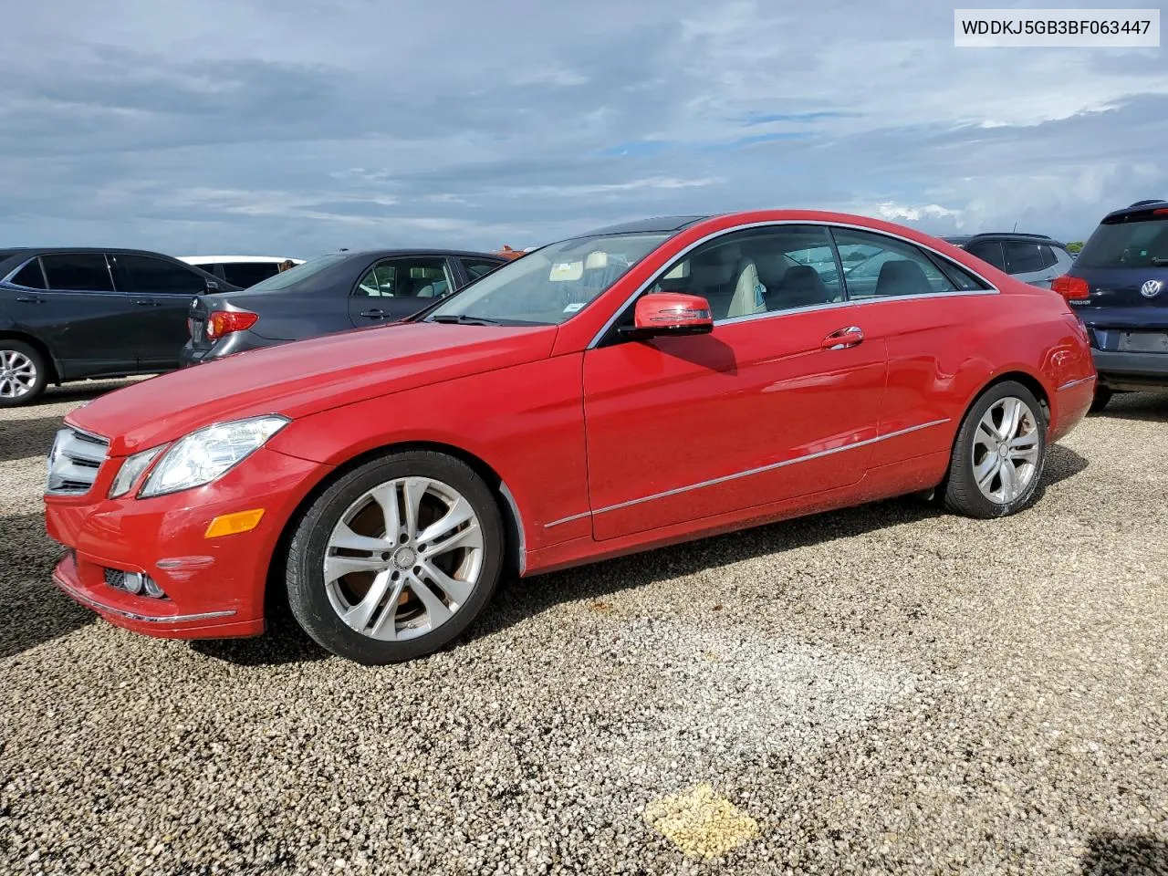 2011 Mercedes-Benz E 350 VIN: WDDKJ5GB3BF063447 Lot: 74282774