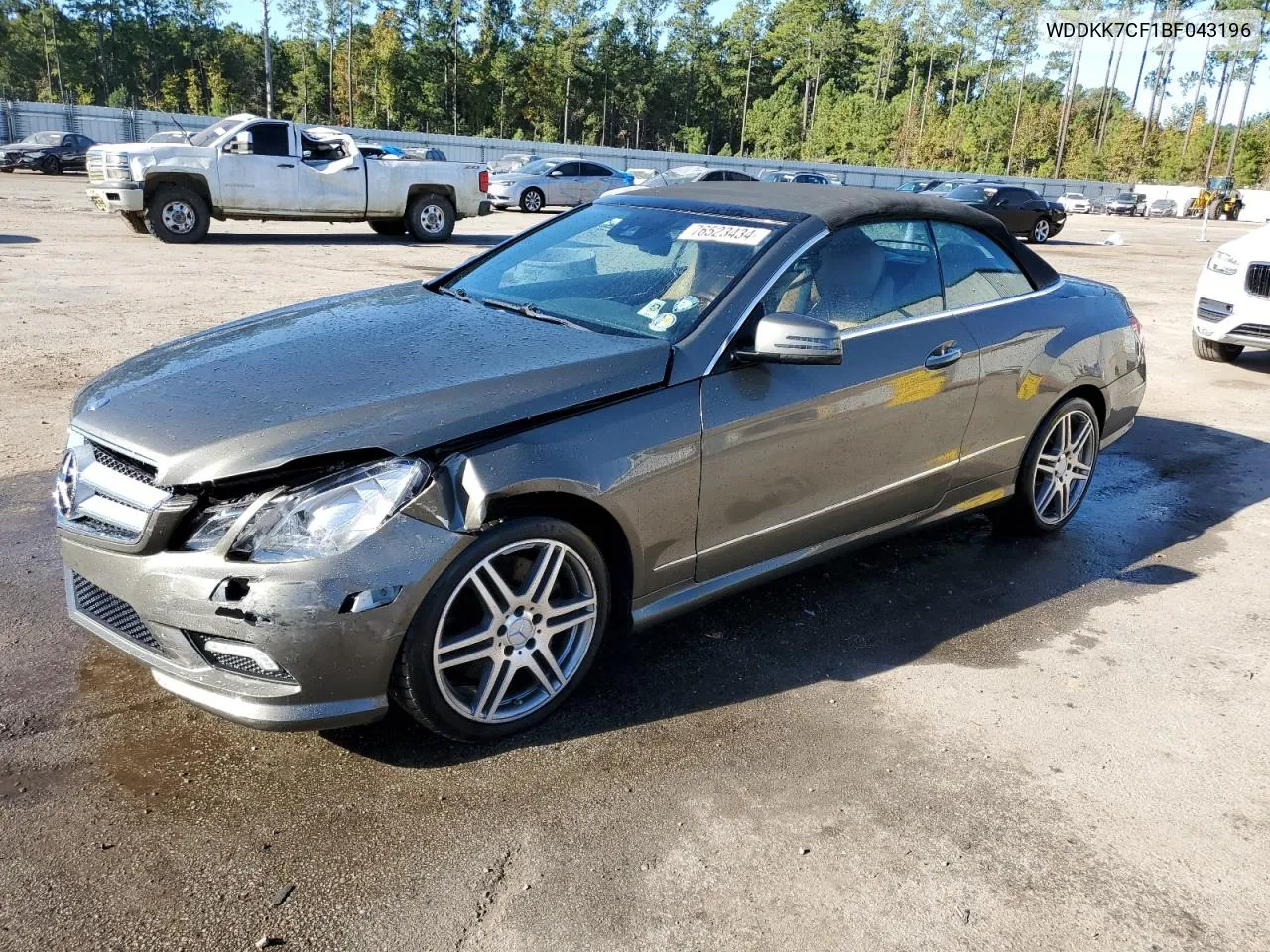 2011 Mercedes-Benz E 550 VIN: WDDKK7CF1BF043196 Lot: 76523434