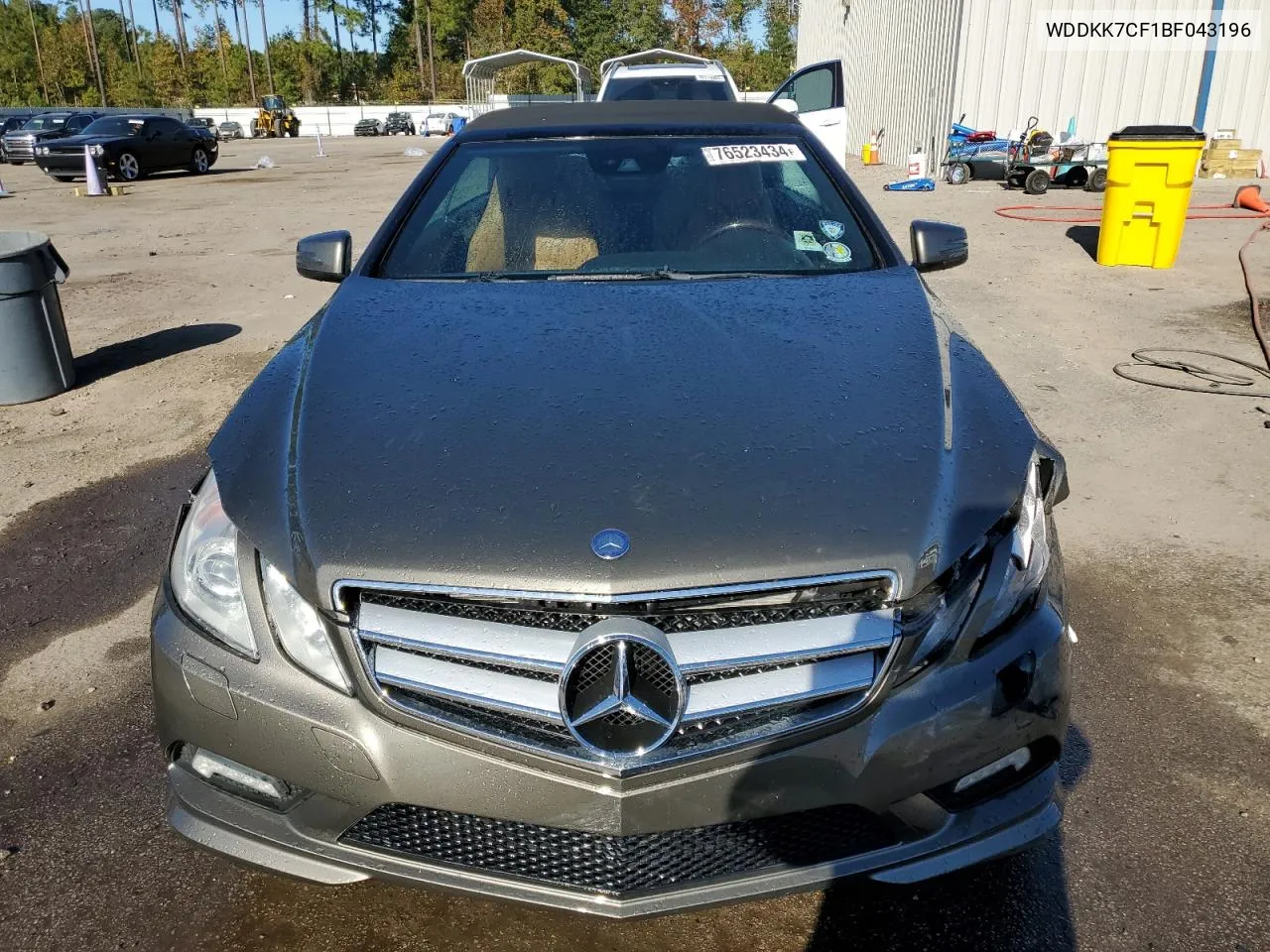 2011 Mercedes-Benz E 550 VIN: WDDKK7CF1BF043196 Lot: 76523434