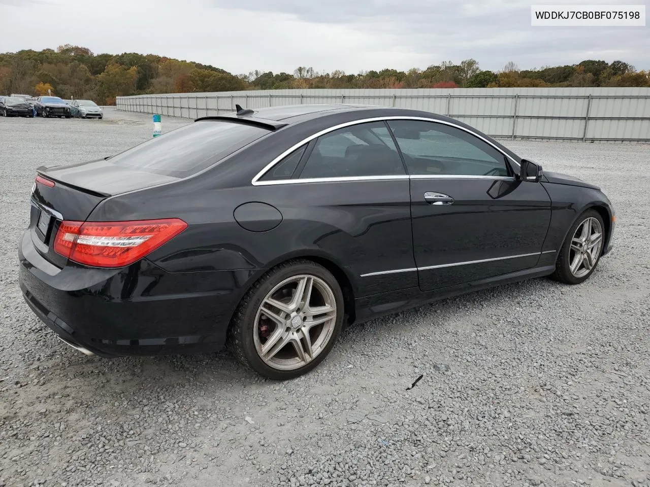 2011 Mercedes-Benz E 550 VIN: WDDKJ7CB0BF075198 Lot: 76578414