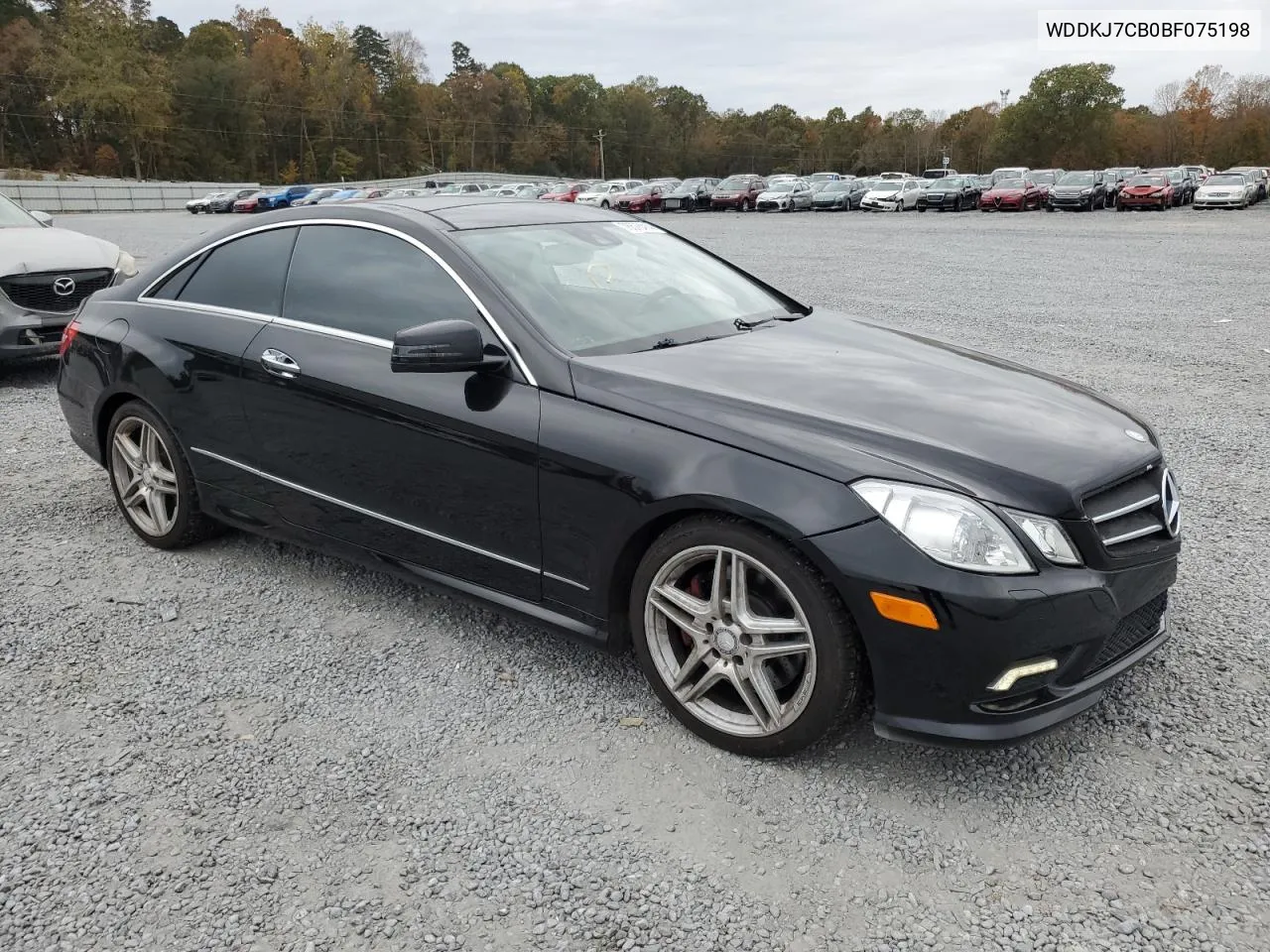 2011 Mercedes-Benz E 550 VIN: WDDKJ7CB0BF075198 Lot: 76578414