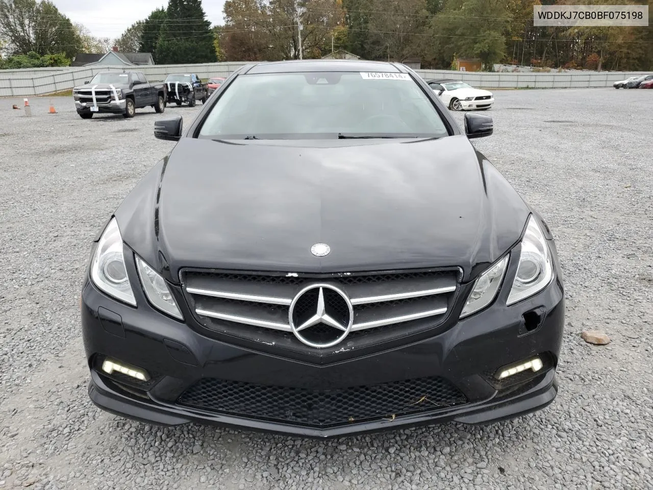 2011 Mercedes-Benz E 550 VIN: WDDKJ7CB0BF075198 Lot: 76578414