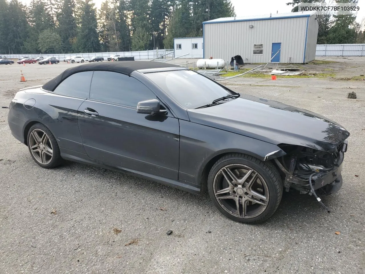 2011 Mercedes-Benz E 550 VIN: WDDKK7CF7BF103529 Lot: 79579114