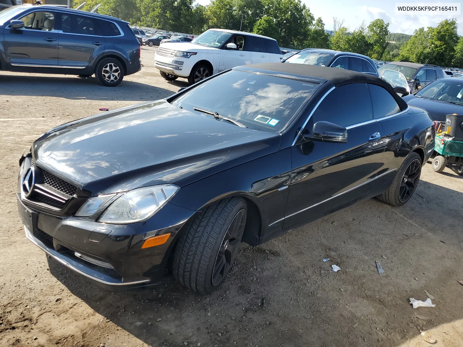 2012 Mercedes-Benz E 350 VIN: WDDKK5KF9CF165411 Lot: 66779784