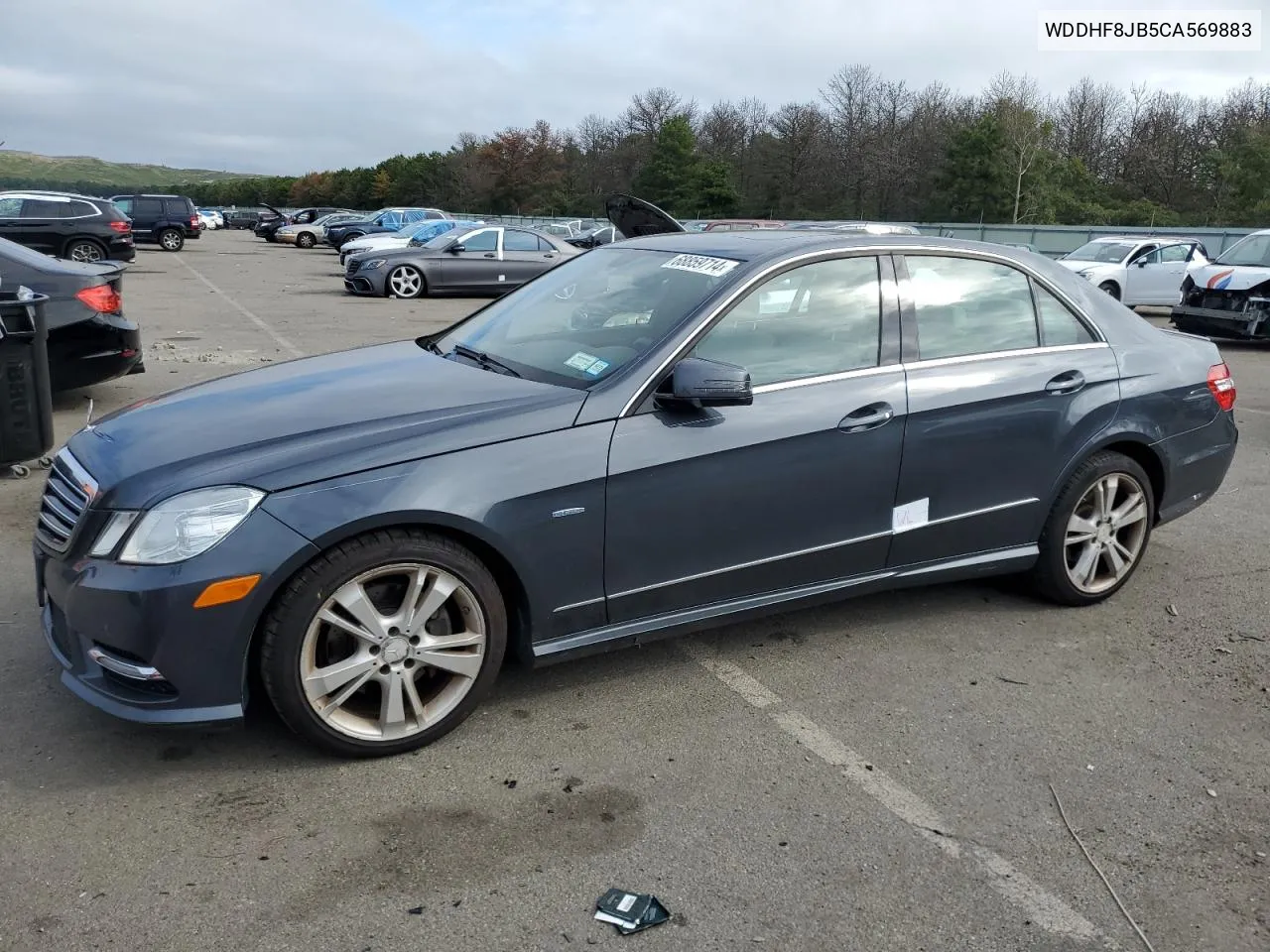 2012 Mercedes-Benz E 350 4Matic VIN: WDDHF8JB5CA569883 Lot: 68859714