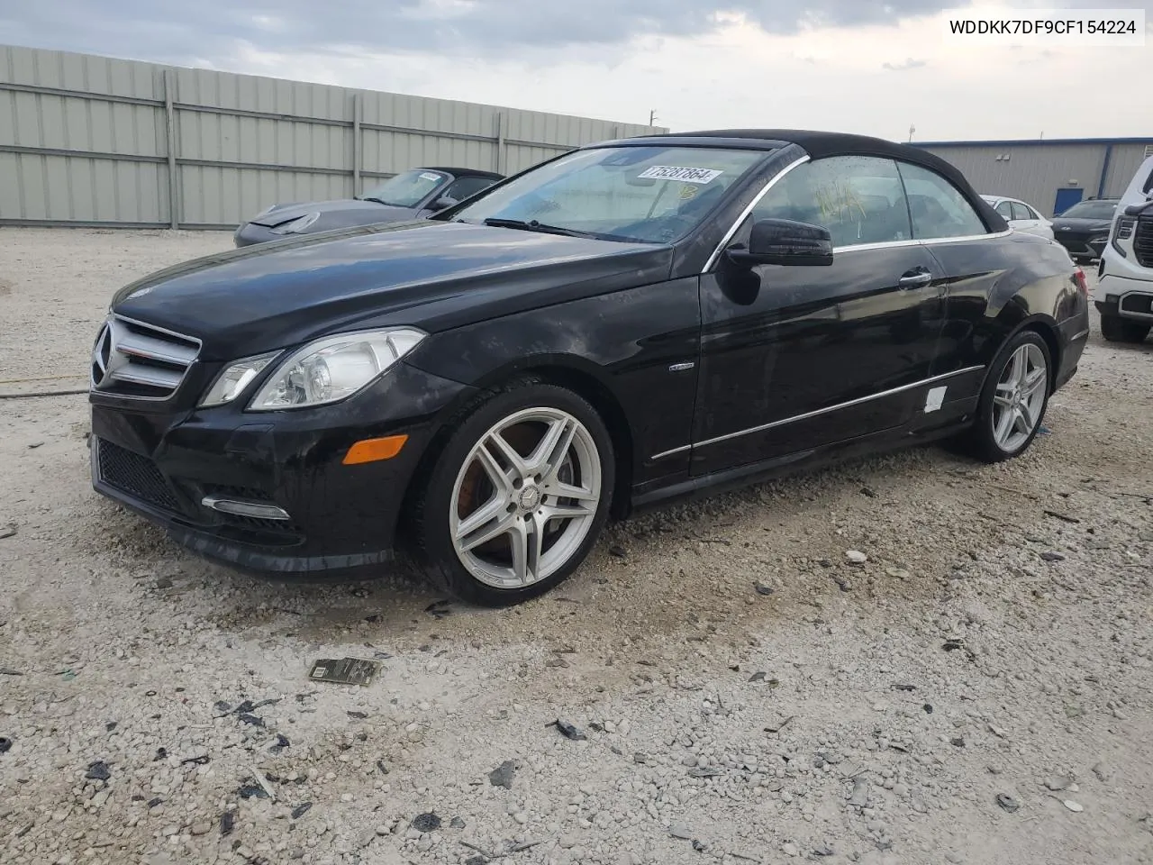 2012 Mercedes-Benz E 550 VIN: WDDKK7DF9CF154224 Lot: 75287864