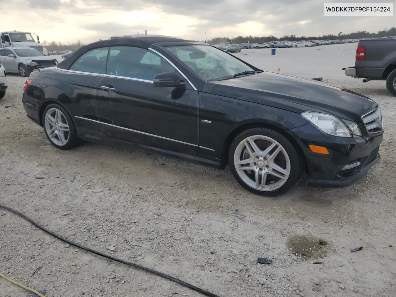 2012 Mercedes-Benz E 550 VIN: WDDKK7DF9CF154224 Lot: 75287864