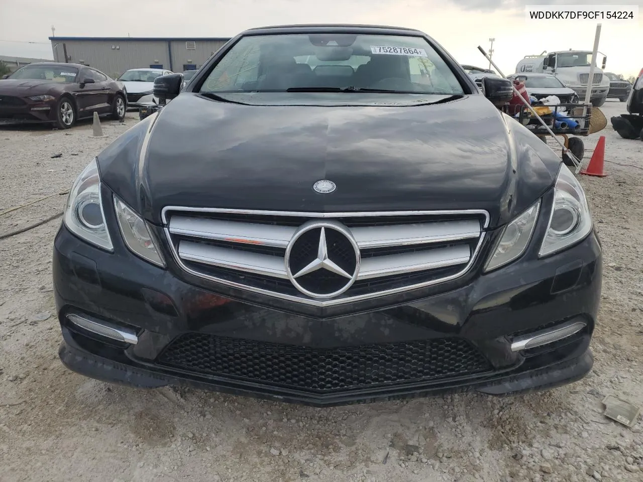 2012 Mercedes-Benz E 550 VIN: WDDKK7DF9CF154224 Lot: 75287864