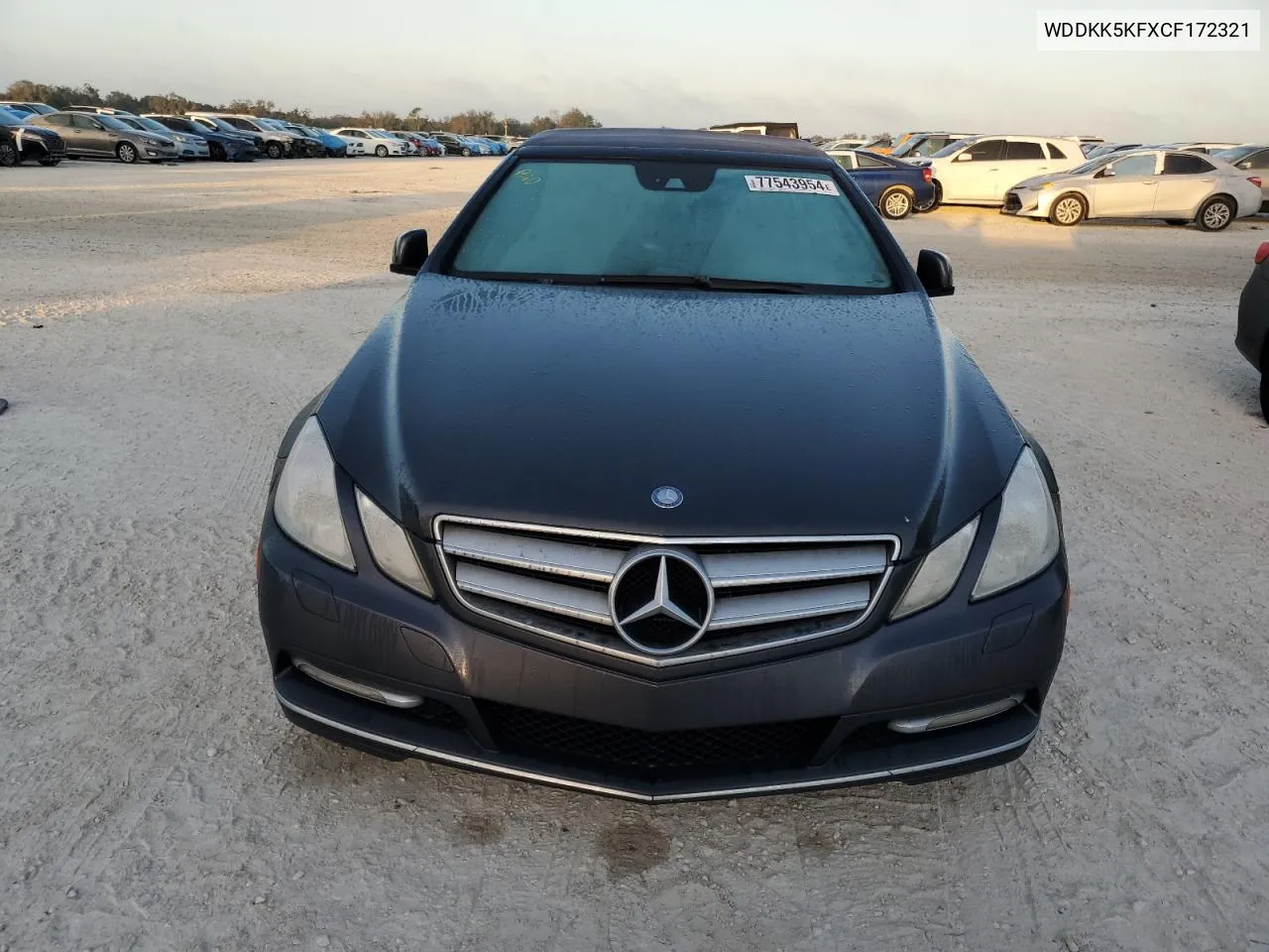 2012 Mercedes-Benz E 350 VIN: WDDKK5KFXCF172321 Lot: 77543954