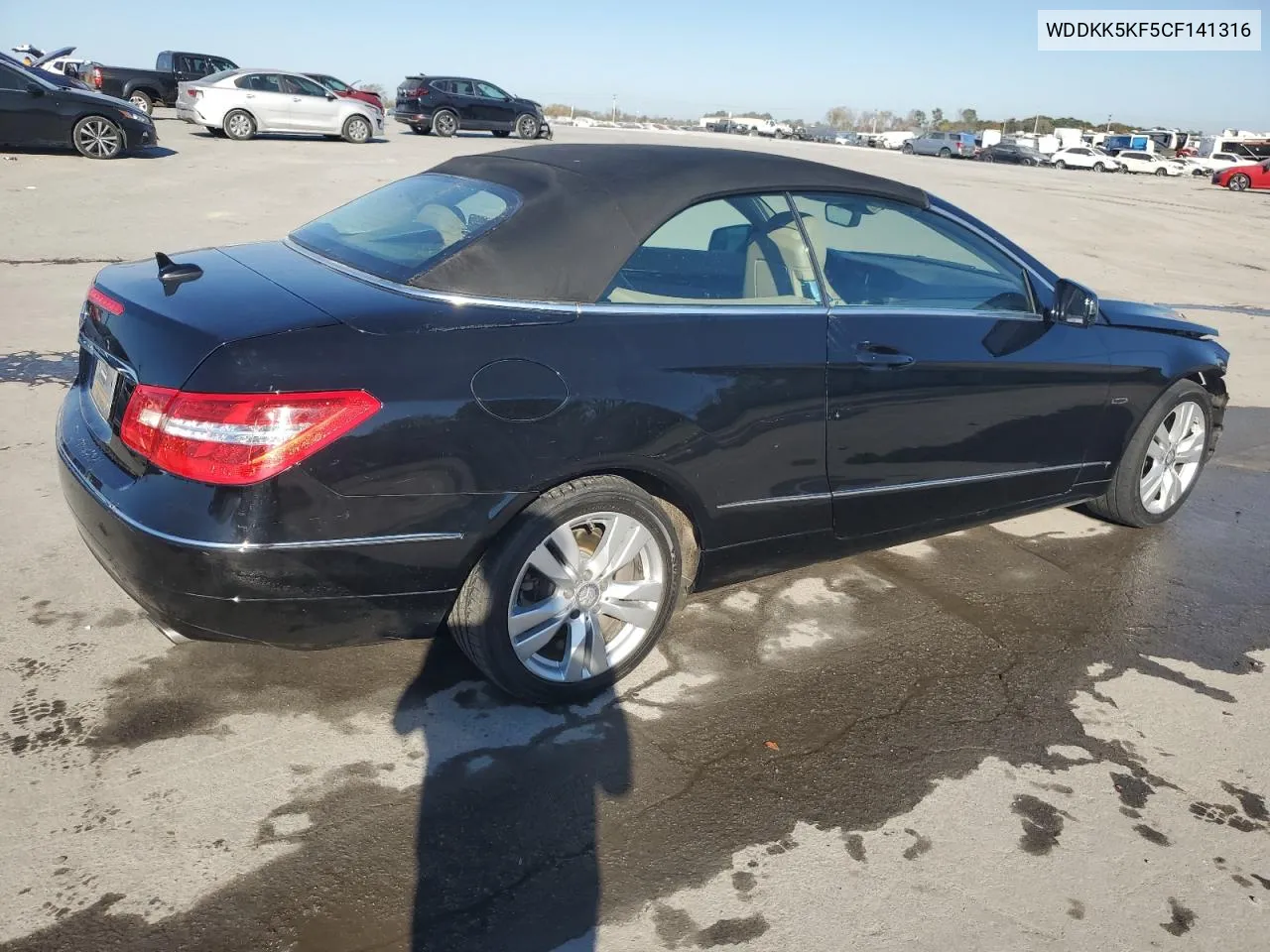 2012 Mercedes-Benz E 350 VIN: WDDKK5KF5CF141316 Lot: 77632944