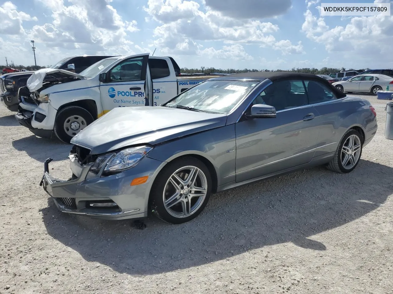 2012 Mercedes-Benz E 350 VIN: WDDKK5KF9CF157809 Lot: 79116384