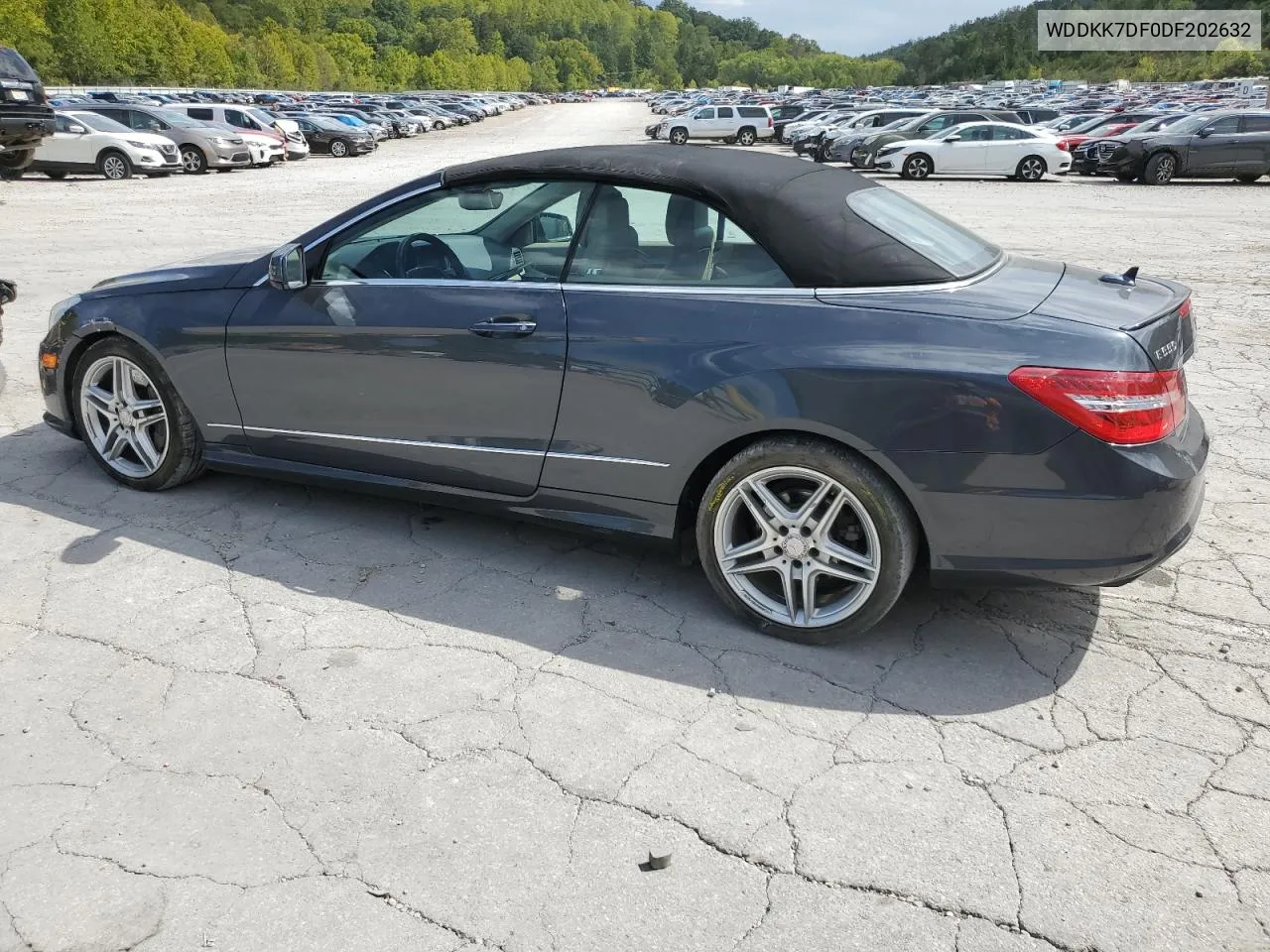 2013 Mercedes-Benz E 550 VIN: WDDKK7DF0DF202632 Lot: 71228844