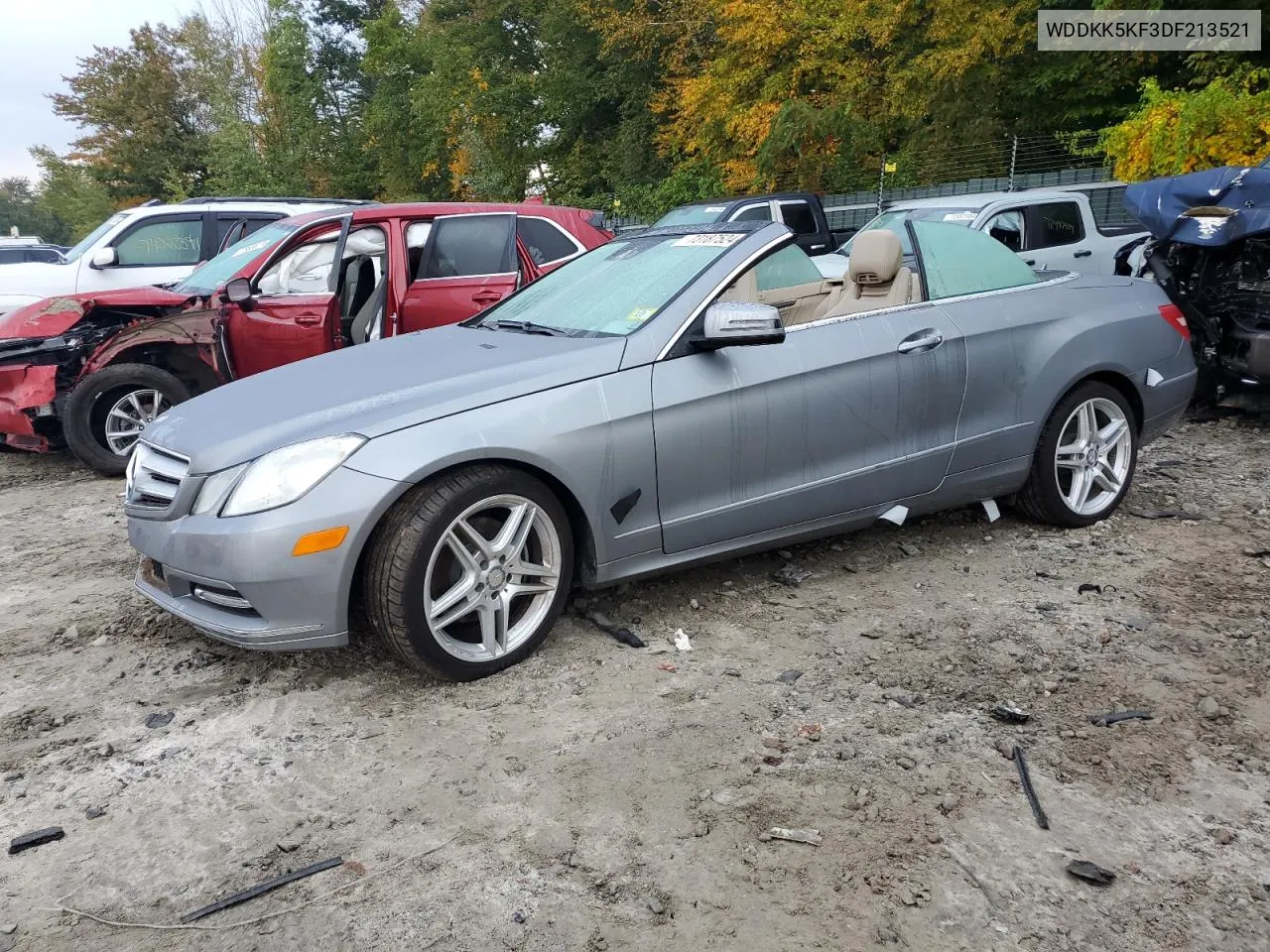 2013 Mercedes-Benz E 350 VIN: WDDKK5KF3DF213521 Lot: 73187524