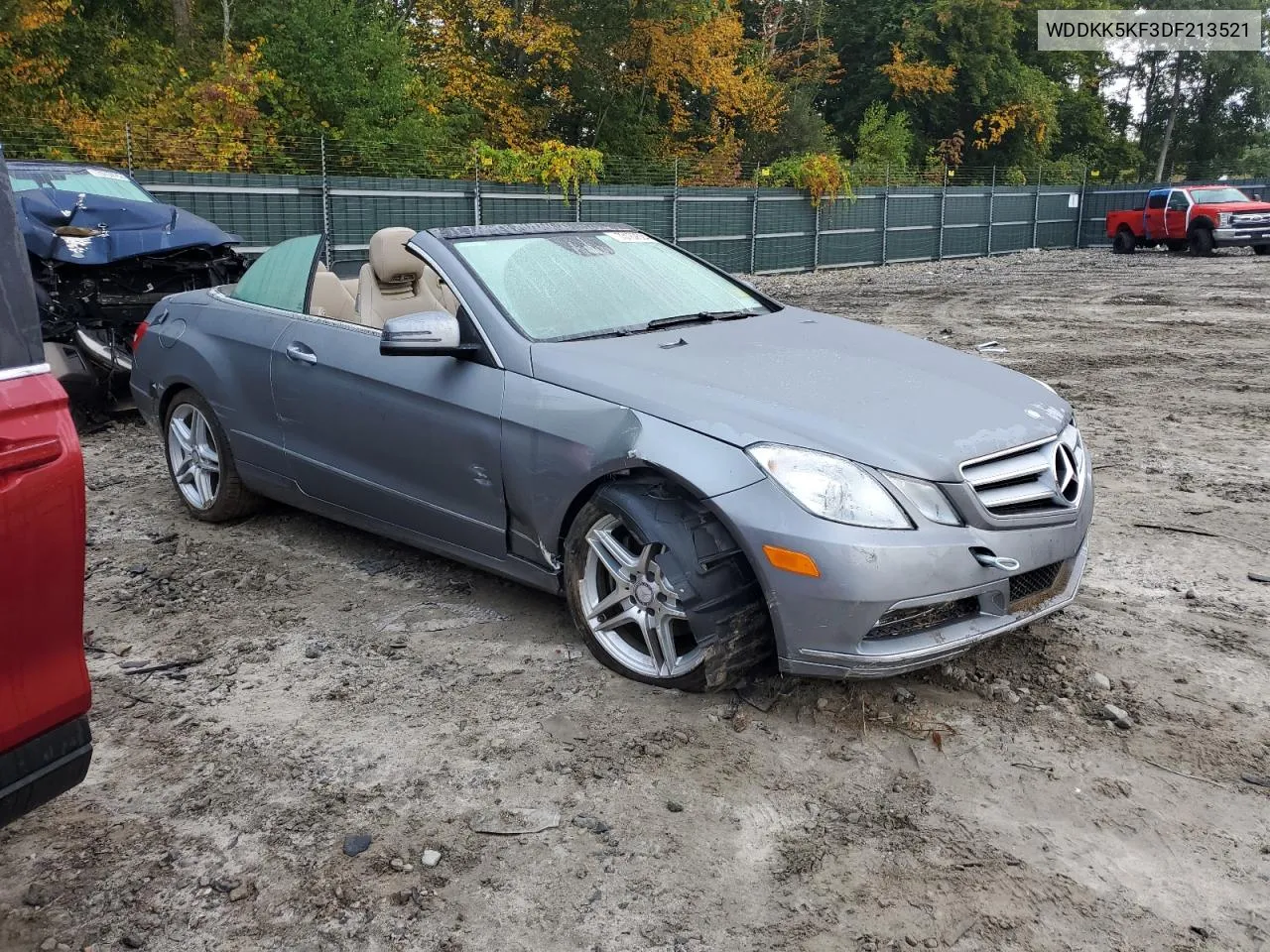 2013 Mercedes-Benz E 350 VIN: WDDKK5KF3DF213521 Lot: 73187524