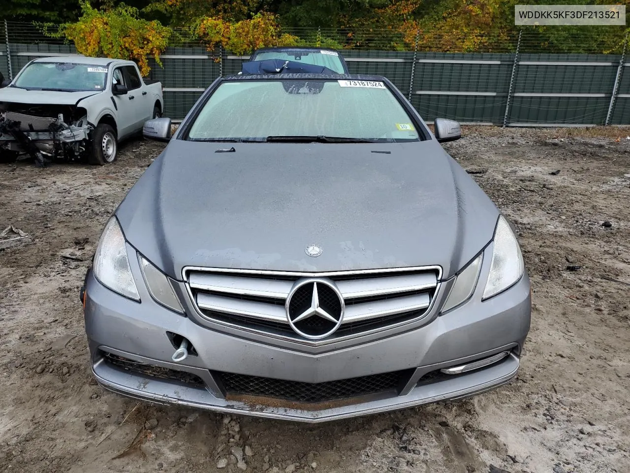 2013 Mercedes-Benz E 350 VIN: WDDKK5KF3DF213521 Lot: 73187524