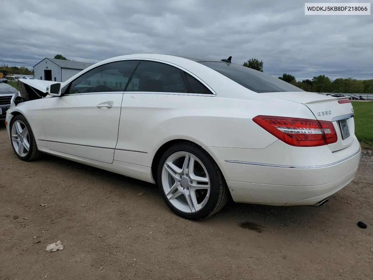 2013 Mercedes-Benz E 350 VIN: WDDKJ5KB8DF218066 Lot: 75049904