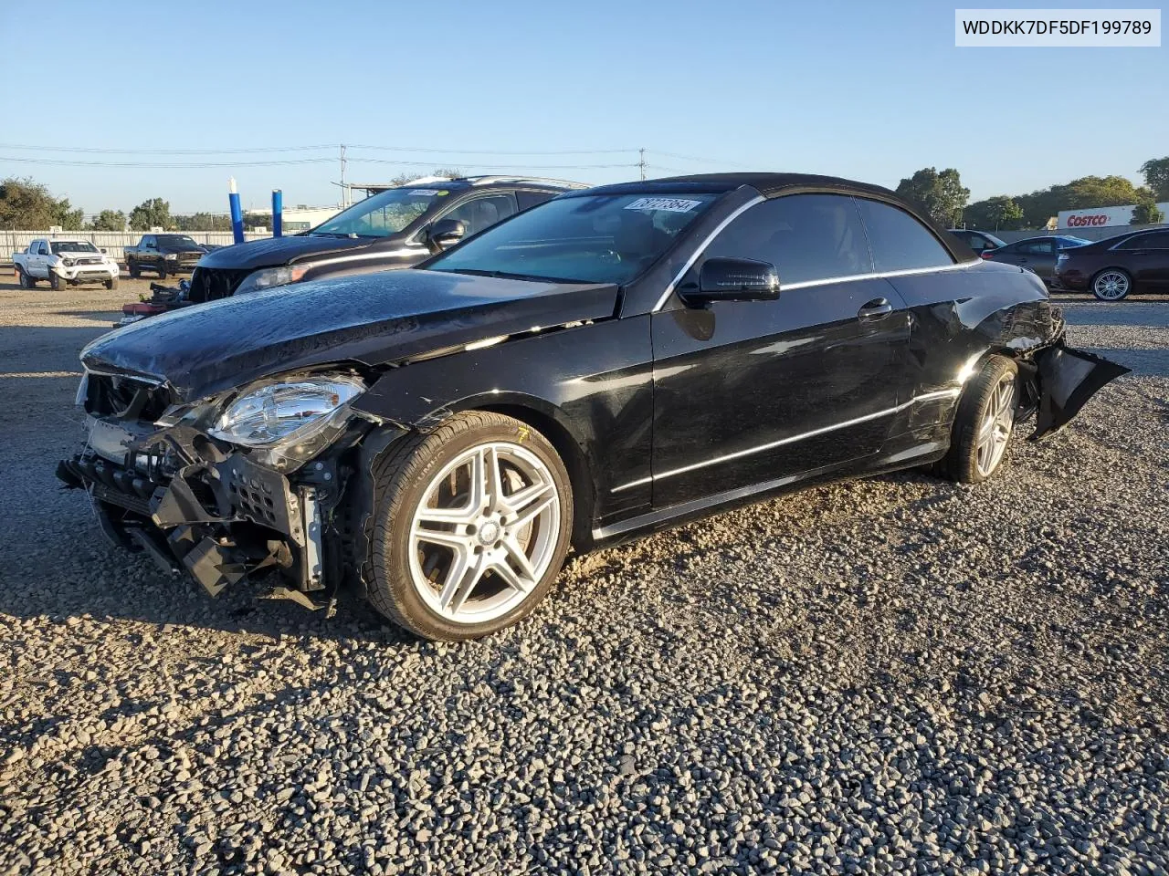 2013 Mercedes-Benz E 550 VIN: WDDKK7DF5DF199789 Lot: 78727364