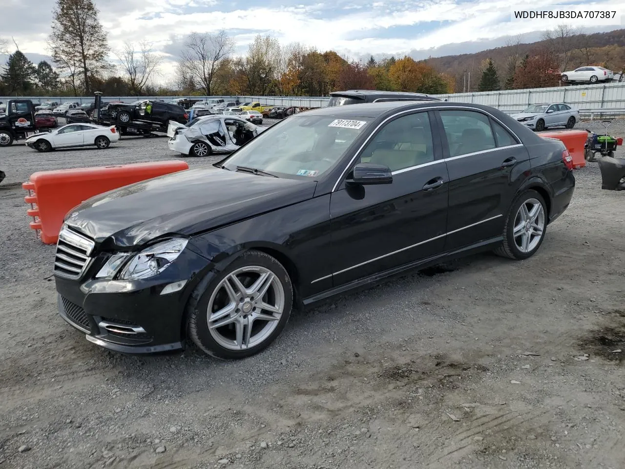 2013 Mercedes-Benz E 350 4Matic VIN: WDDHF8JB3DA707387 Lot: 79173704