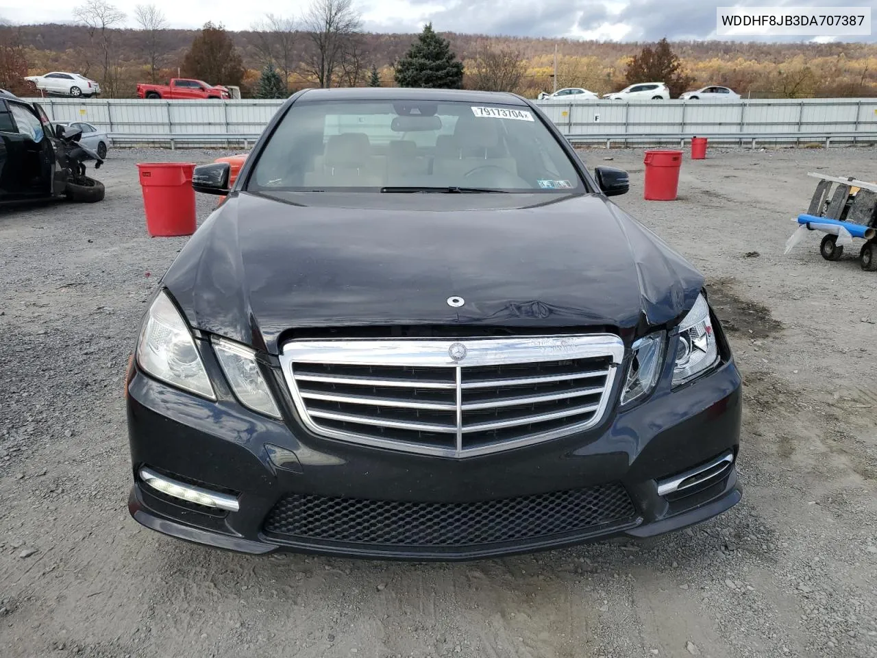 2013 Mercedes-Benz E 350 4Matic VIN: WDDHF8JB3DA707387 Lot: 79173704