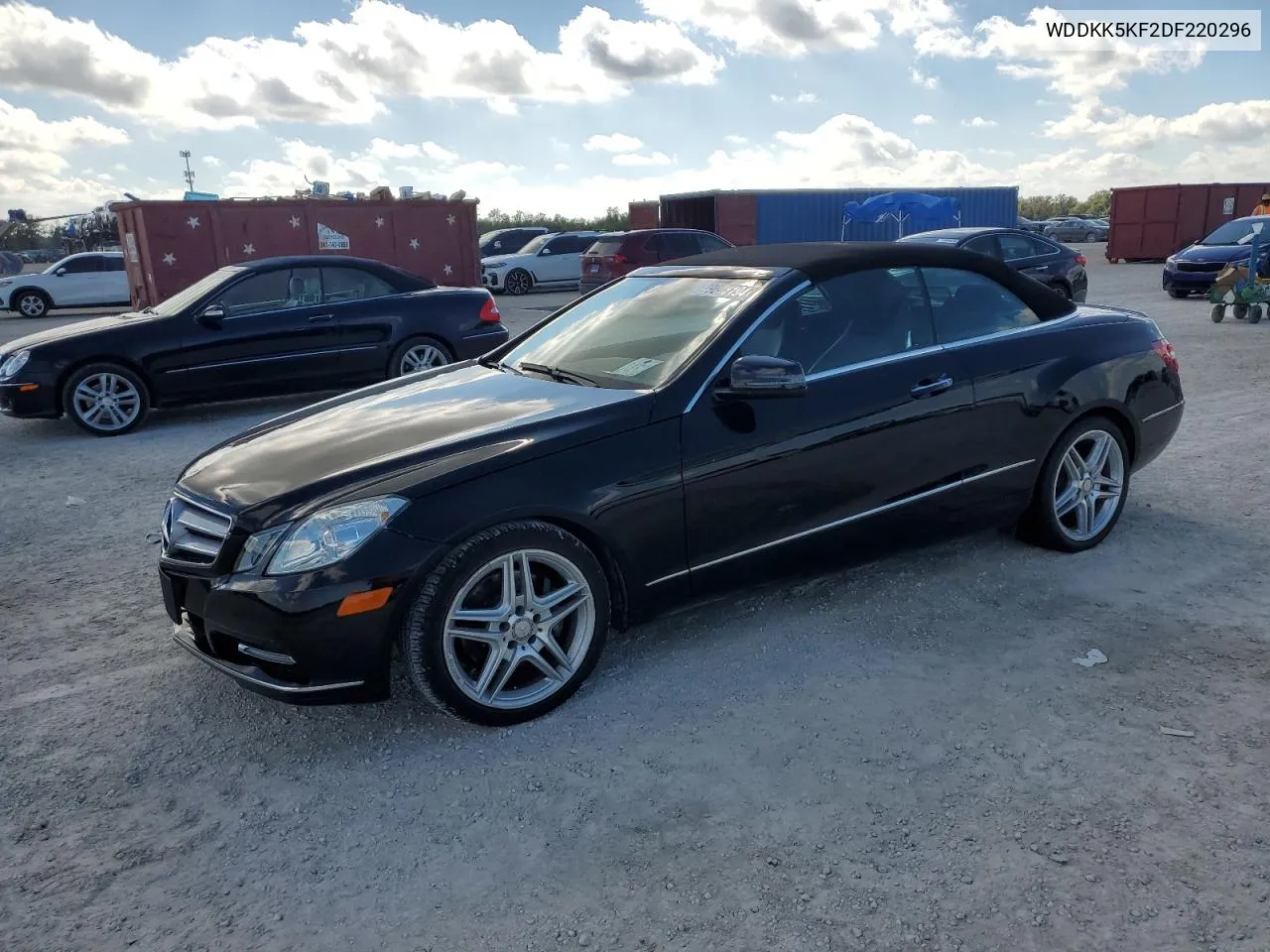 2013 Mercedes-Benz E 350 VIN: WDDKK5KF2DF220296 Lot: 79648194