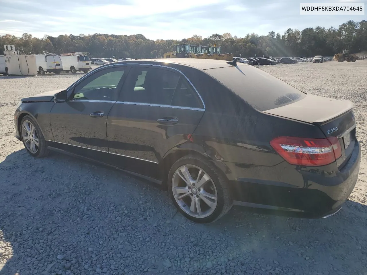 2013 Mercedes-Benz E 350 VIN: WDDHF5KBXDA704645 Lot: 80199984