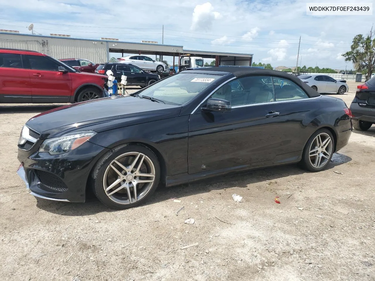 2014 Mercedes-Benz E 550 VIN: WDDKK7DF0EF243439 Lot: 70773334