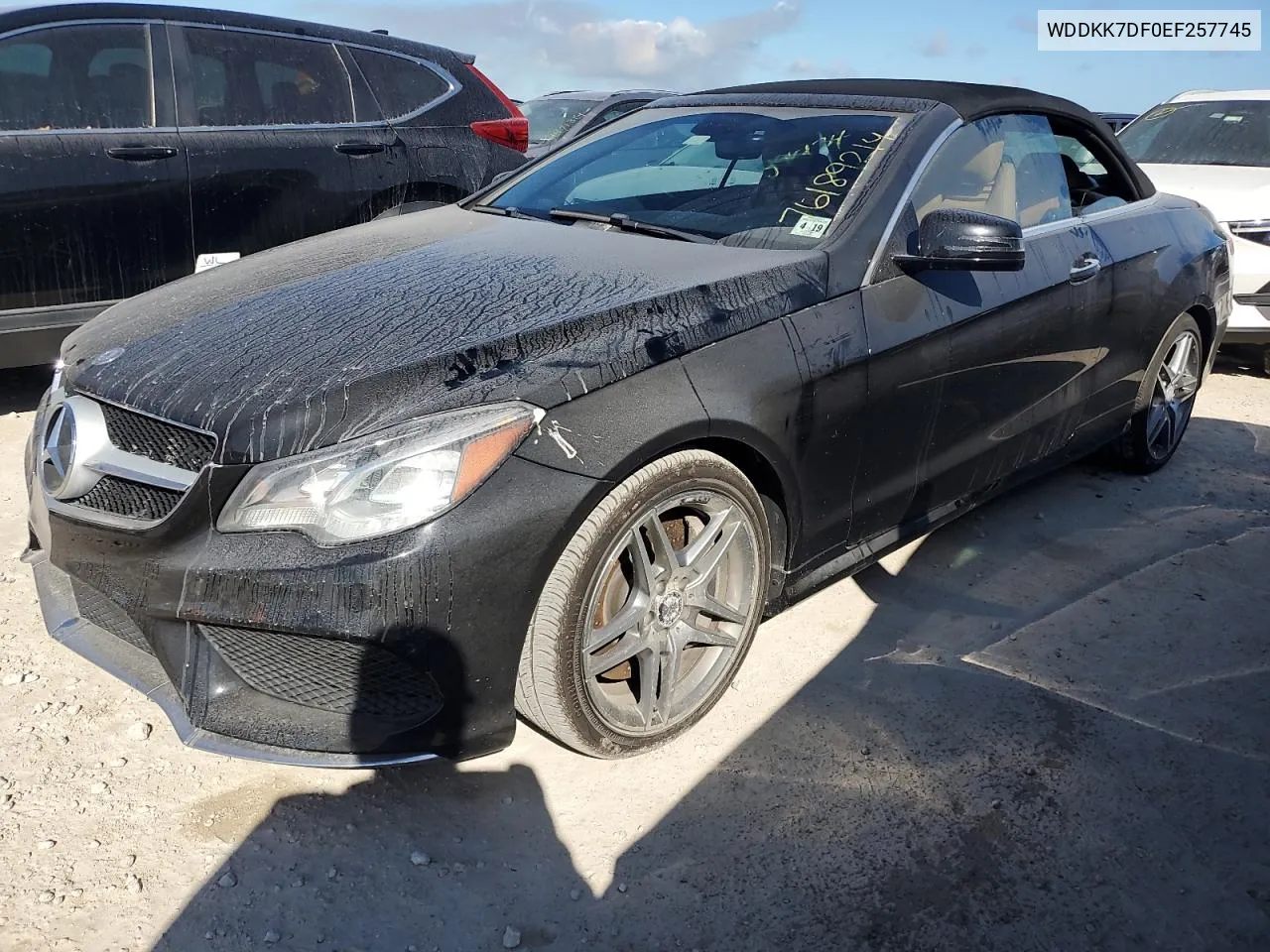 2014 Mercedes-Benz E 550 VIN: WDDKK7DF0EF257745 Lot: 76189214