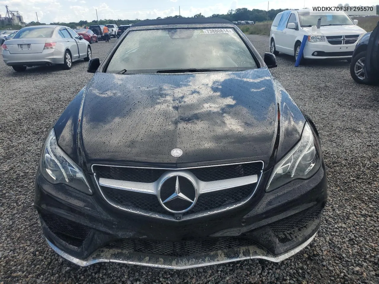 2015 Mercedes-Benz E 550 VIN: WDDKK7DF3FF295570 Lot: 73880814