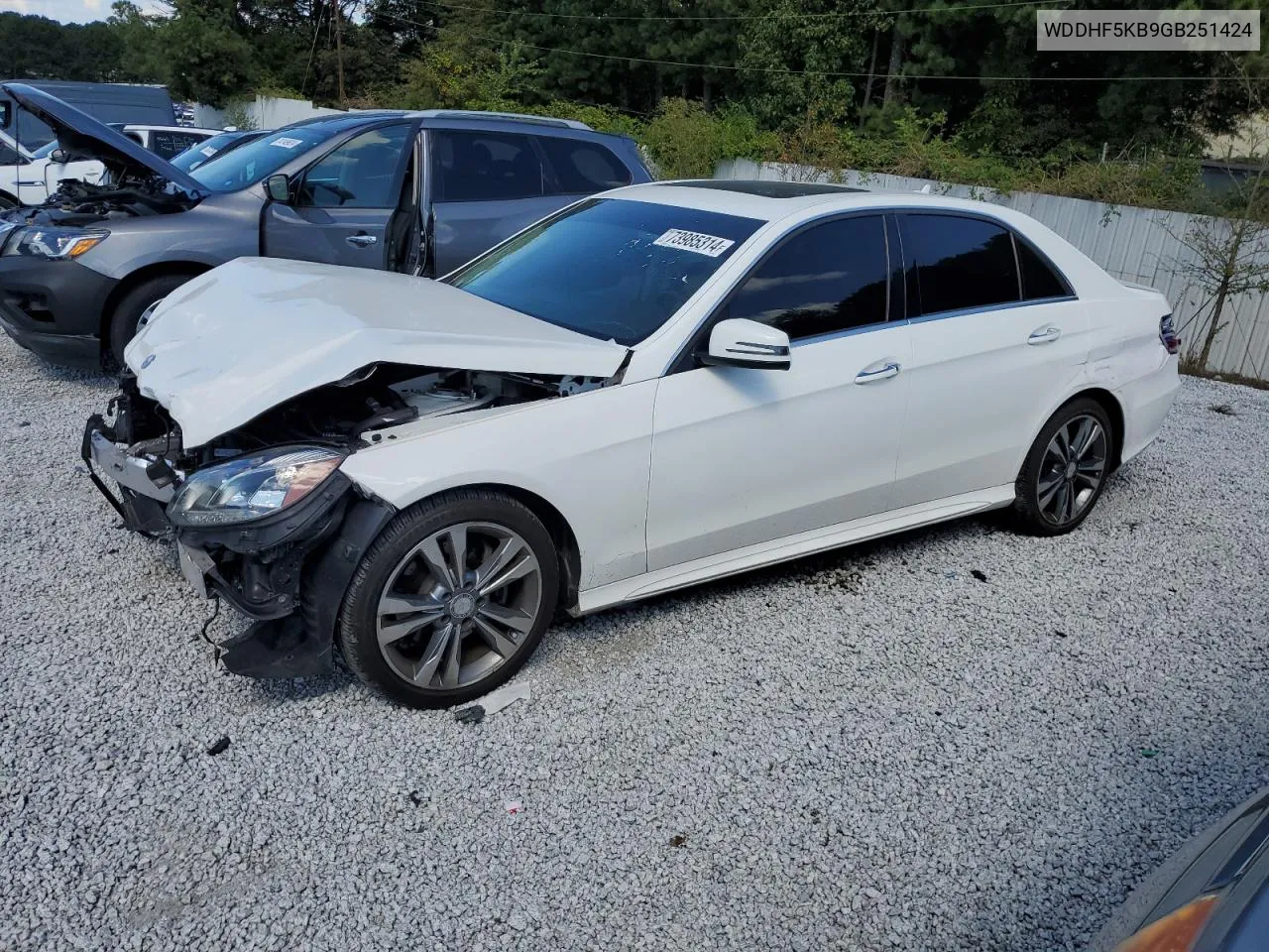 2016 Mercedes-Benz E 350 VIN: WDDHF5KB9GB251424 Lot: 73985314