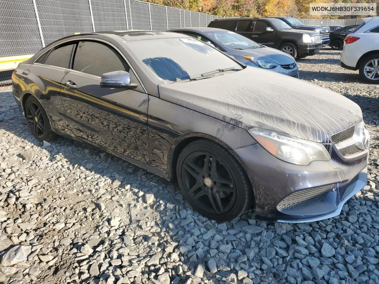 2016 Mercedes-Benz E 400 4Matic VIN: WDDKJ6HB3GF339654 Lot: 75832874