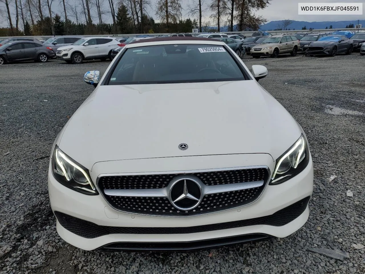 2018 Mercedes-Benz E 400 VIN: WDD1K6FBXJF045591 Lot: 79025954