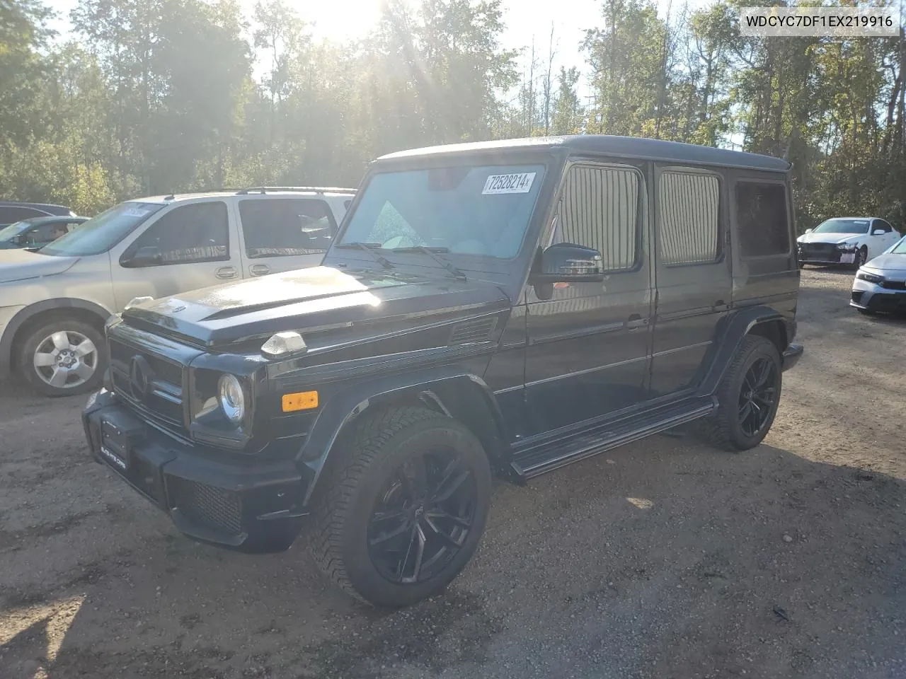 2014 Mercedes-Benz G 63 Amg VIN: WDCYC7DF1EX219916 Lot: 72528214