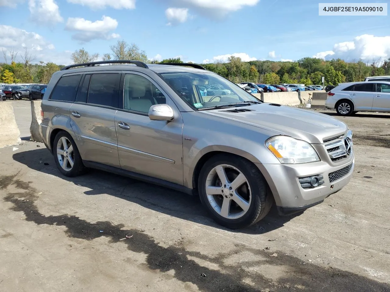 2009 Mercedes-Benz Gl VIN: 4JGBF25E19A509010 Lot: 74173734