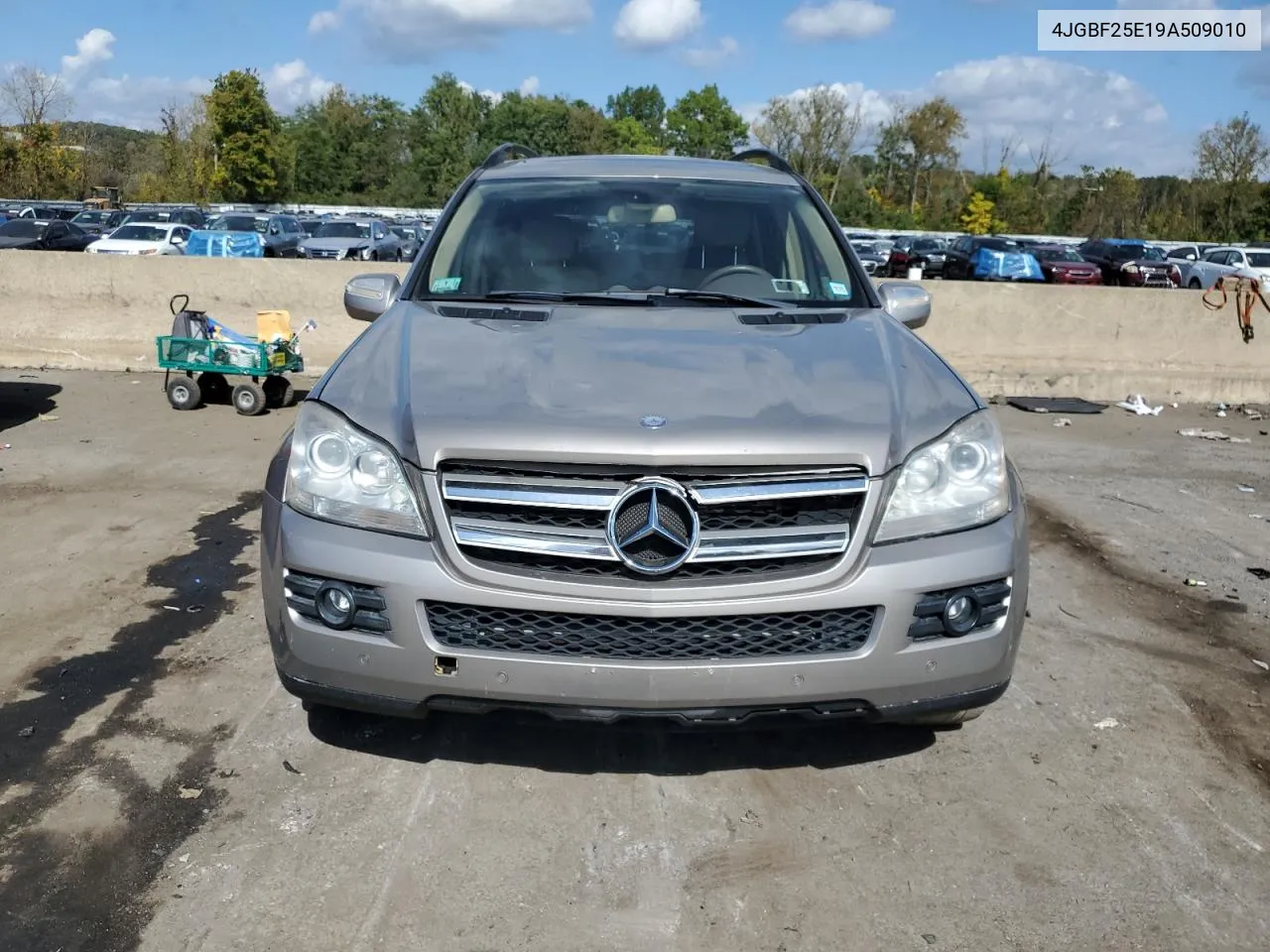 2009 Mercedes-Benz Gl VIN: 4JGBF25E19A509010 Lot: 74173734