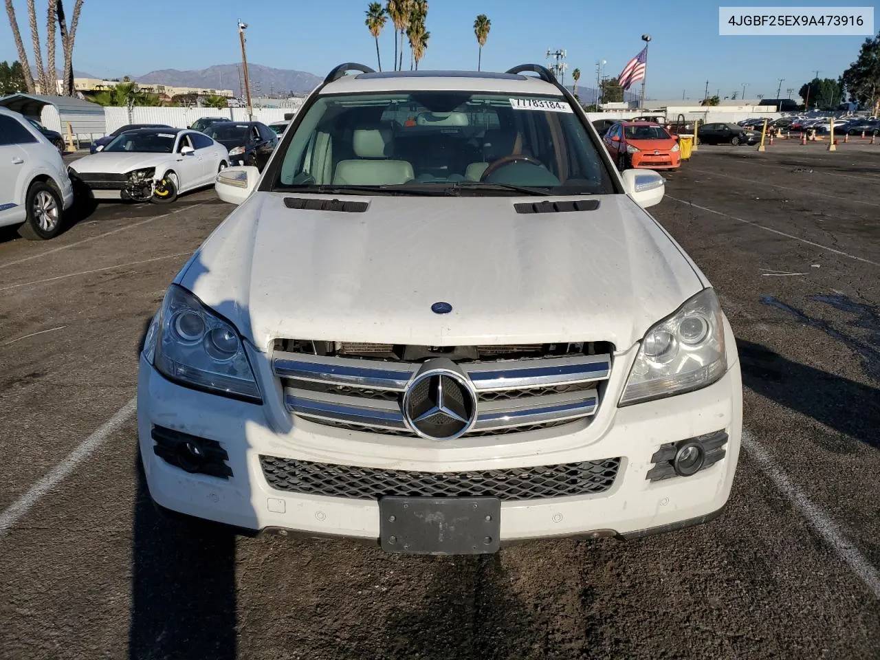 2009 Mercedes-Benz Gl VIN: 4JGBF25EX9A473916 Lot: 77783184