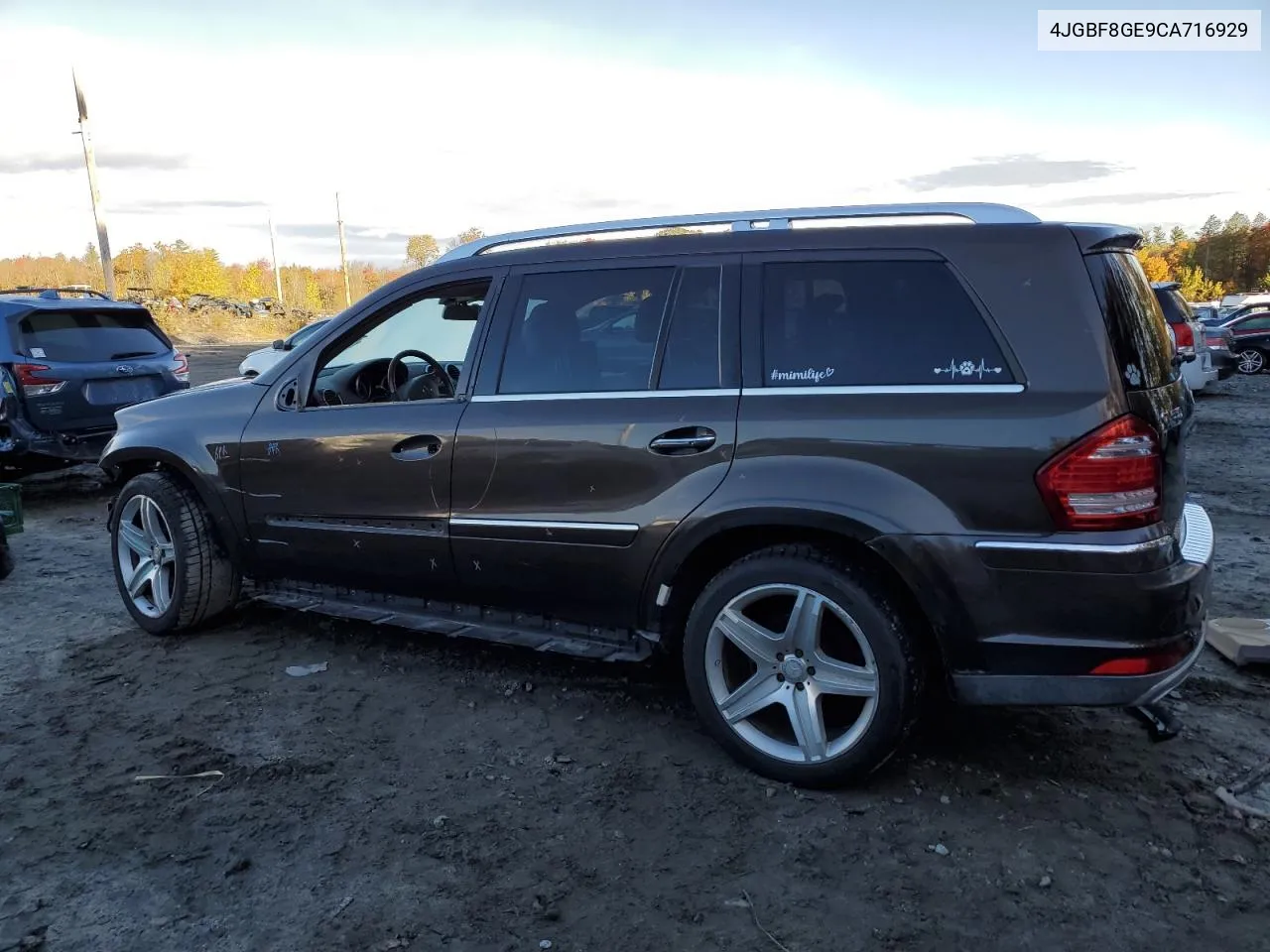 2012 Mercedes-Benz Gl 550 4Matic VIN: 4JGBF8GE9CA716929 Lot: 76262924